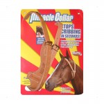 collier miracle groom
