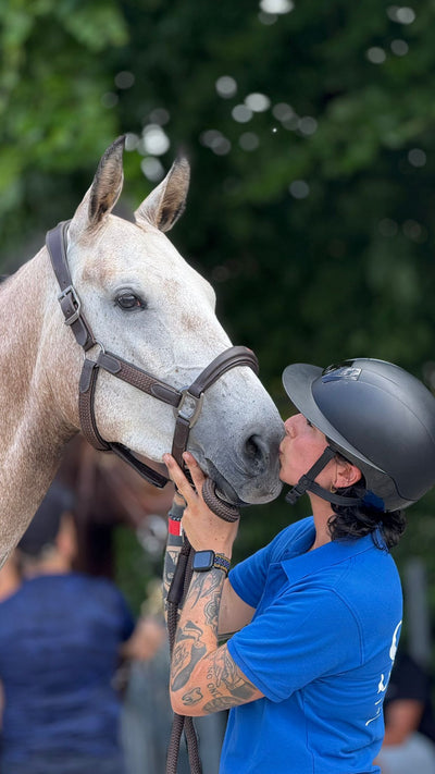 Nouveautés équitation à la Sellerie Eldorado, sellerie à Liège