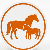 Icône Cheval & Poney – matériel pour chevaux et poneys, Sellerie Eldorado Liège
