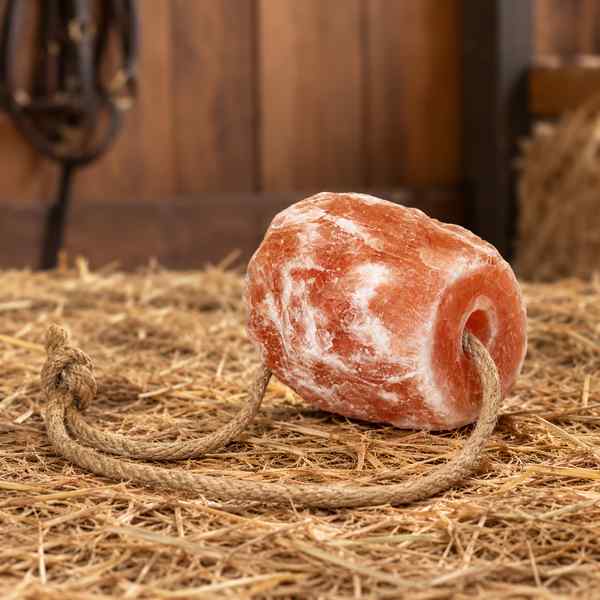 Pierre à Sel Himalaya HKM avec Cordon – 2 kg
